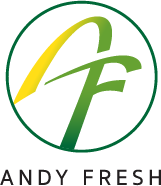 Andy Fresh